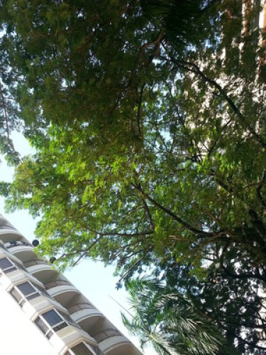 Sociable  & Broad minded in Penang