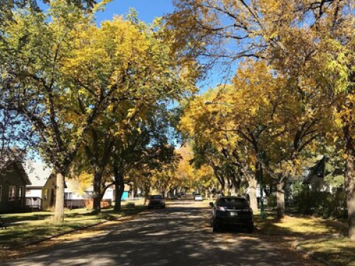 Feel at home with us!