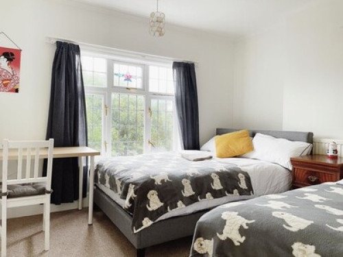 Cambridge twin room  - Gallery - 16