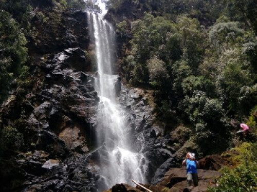A journey back to nature