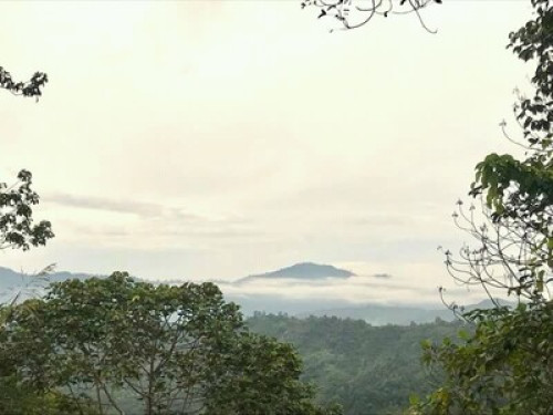 A journey back to nature