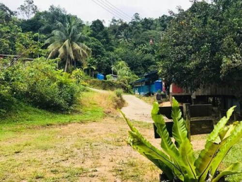 A journey back to nature