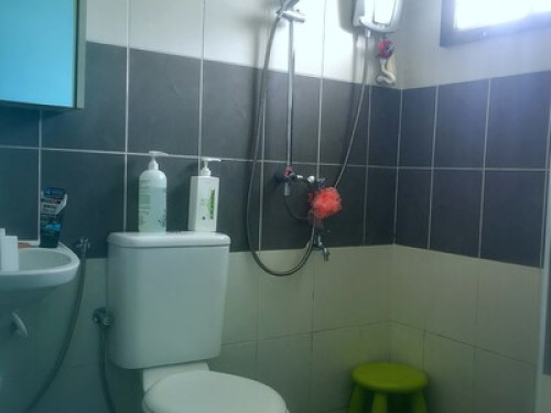 Homestay kk