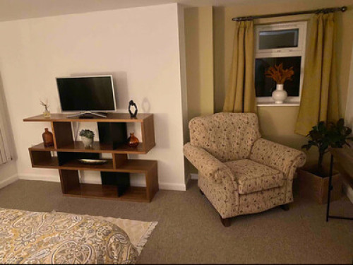 Room in cosy mansion