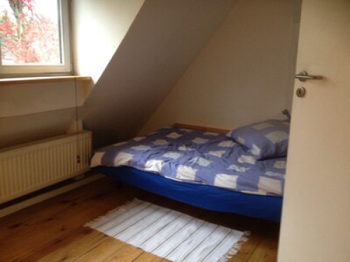 Casa MAT with a beautiful garden, suburb