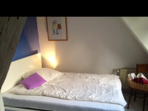 Casa MAT with a beautiful garden, suburb