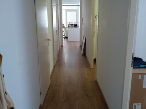 A nice clean spare room