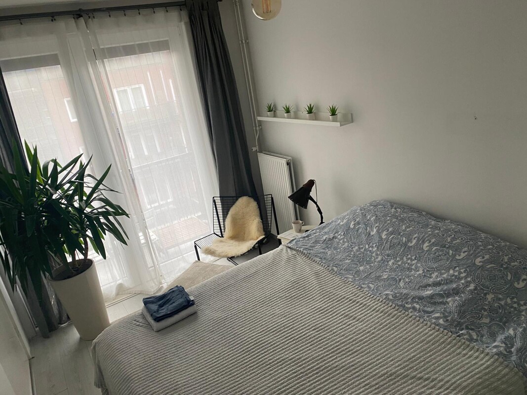  Double Room(Full Room)  -  Cozy double room   - Gallery -  1