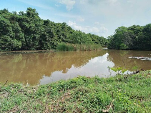 Lake Side Private Villa in Ahangama - Gallery - 10