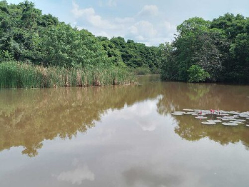 Lake Side Private Villa in Ahangama - Gallery - 17