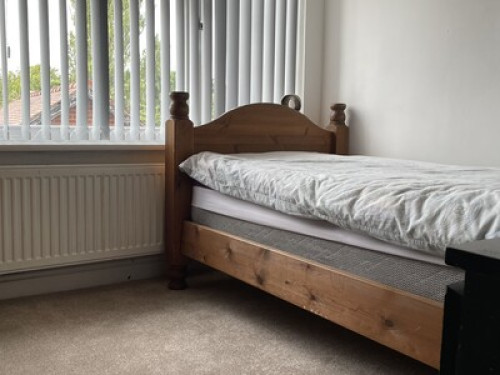 real-birmingham-family-birmingham-27998891920240815032621AM