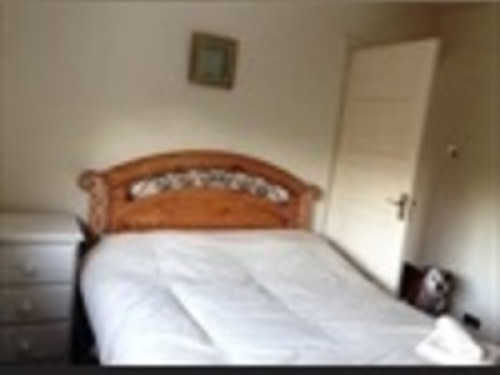 countryside-in-the-city-birmingham-214442775420240815032640AM