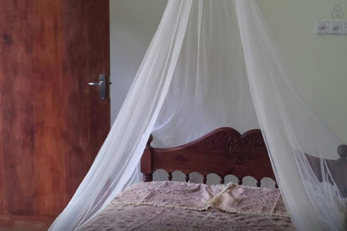 Quiet Homestay on Rekawa Beach - Gallery - 12