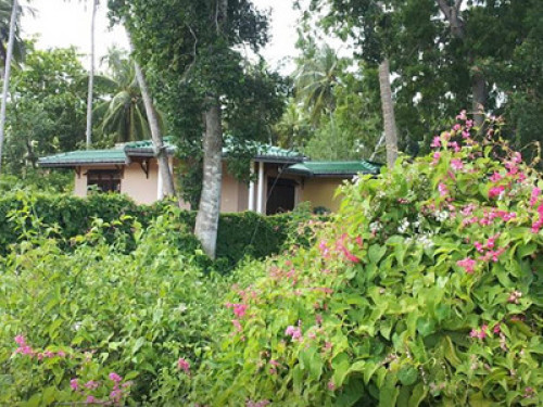 Quiet Homestay on Rekawa Beach