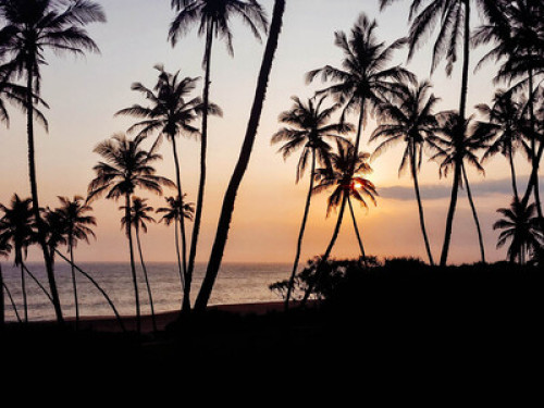 Quiet Homestay on Rekawa Beach - Gallery - 6