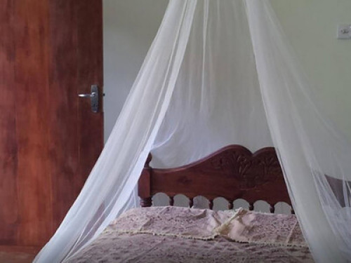 Quiet Homestay on Rekawa Beach - Gallery - 9