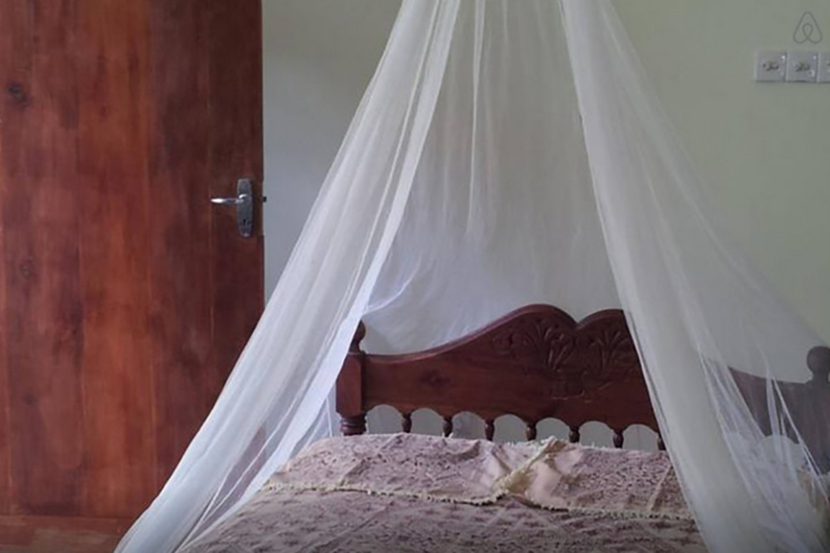 Garden View Room(Single Bed) - 1