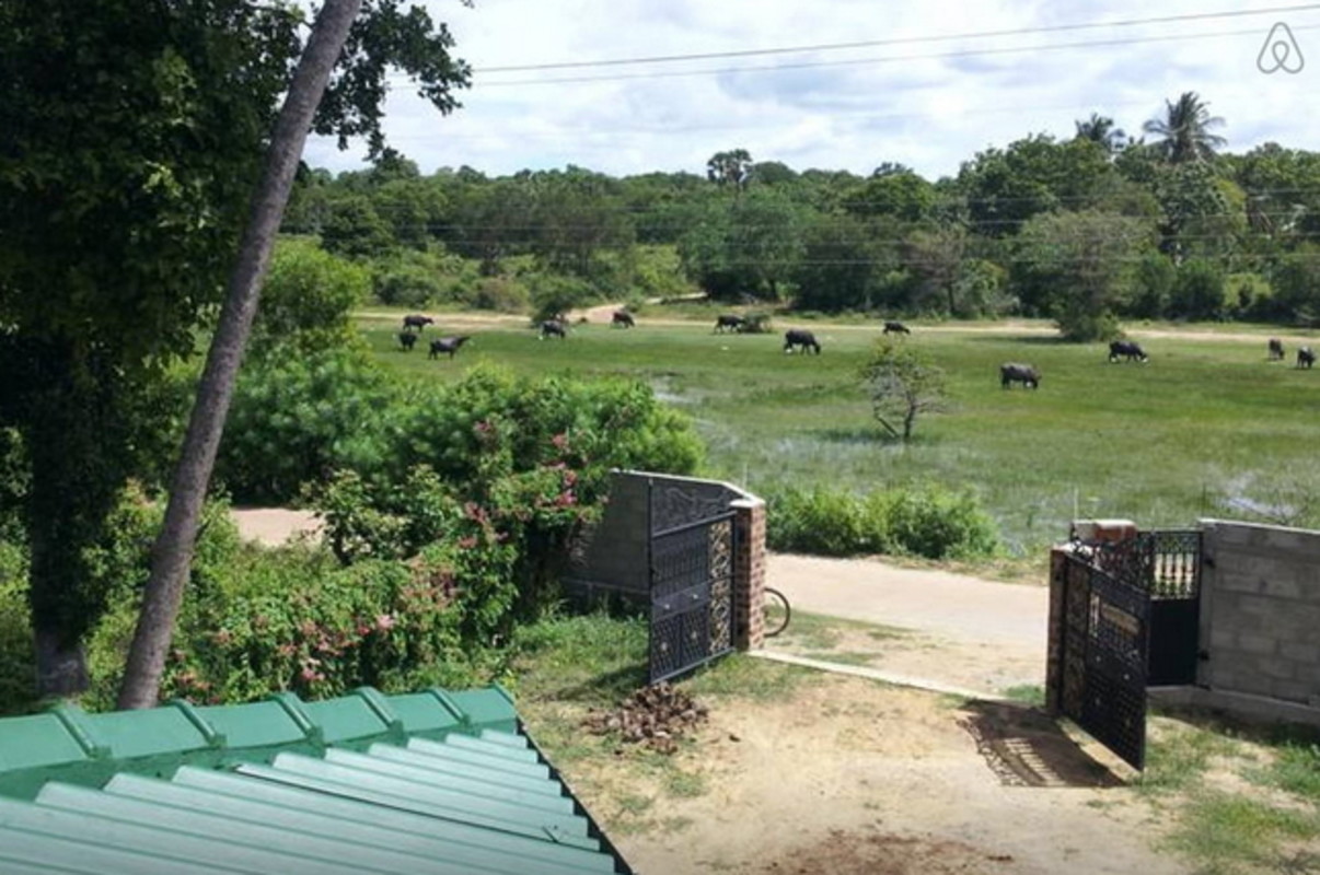 Nature View(Full Room) - 1