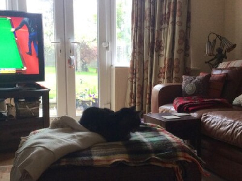Warm, Homely 4 bed traditional hous