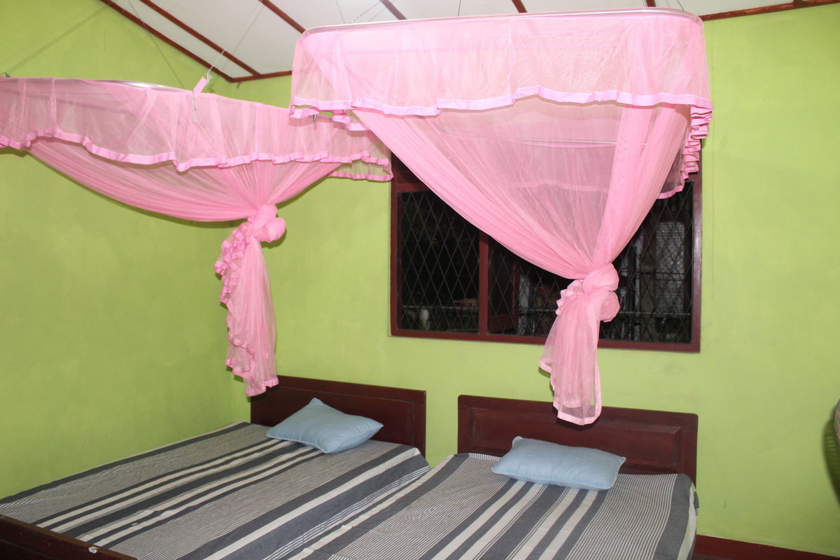 Double Room(Full Room) - 1