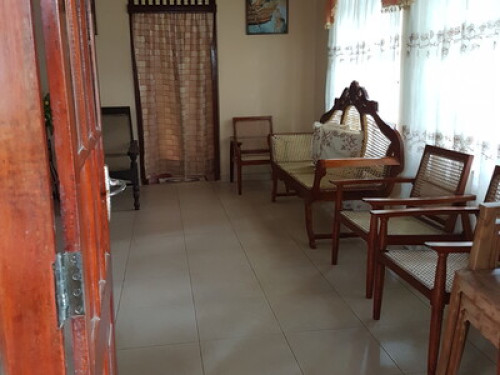 Mango Nest - Gallery - 10