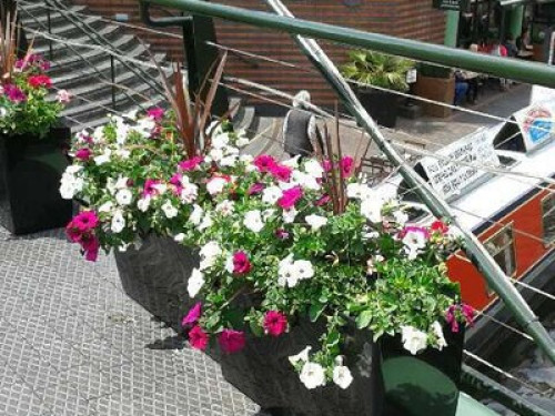 come-and-share-our-lovely-clean-br-birmingham-144094428020240815033333AM