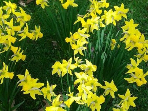 come-and-share-our-lovely-clean-br-birmingham-35000753820240815033422AM