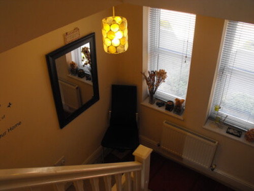 come-and-share-our-lovely-clean-br-birmingham-65802910920240815033312AM