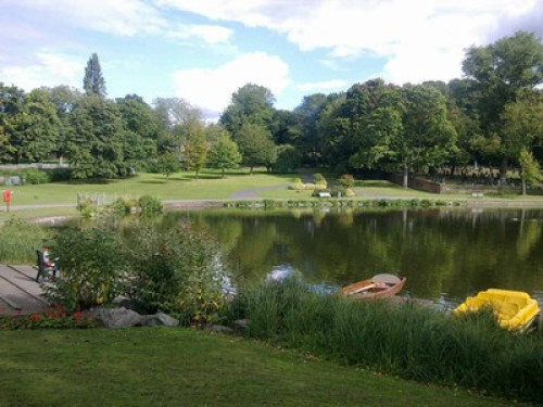 come-and-share-our-lovely-clean-br-birmingham-79959051920240815033320AM