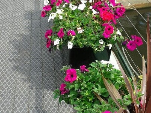 come-and-share-our-lovely-clean-br-birmingham-8239677720240815033342AM