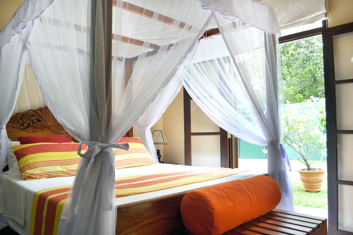 Garden Room(Single Bed) - 1