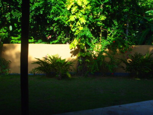looking for luxury and greenery? - Gallery - 6