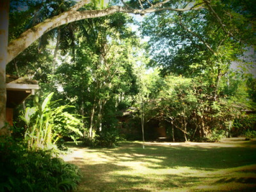 looking for luxury and greenery?  - Gallery -  5