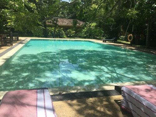 looking for luxury and greenery?