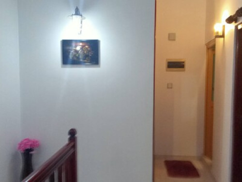 Stay with love and peace  - Gallery - 6