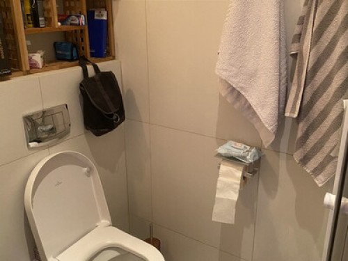 Rainbow Super friendly host for sha