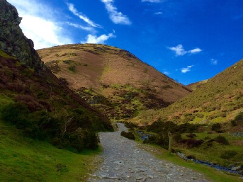 Meadow View 