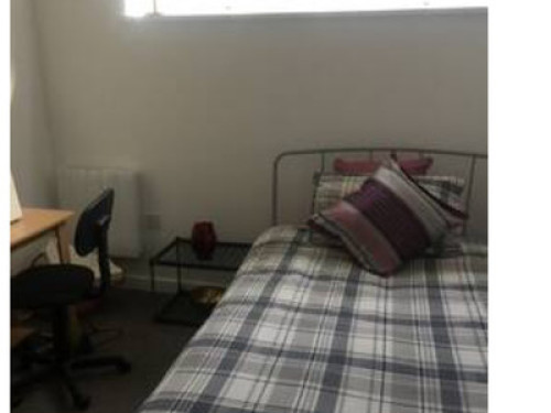 Comfortable and welcoming apartmen