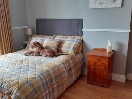 Home from Home  - Gallery -  5