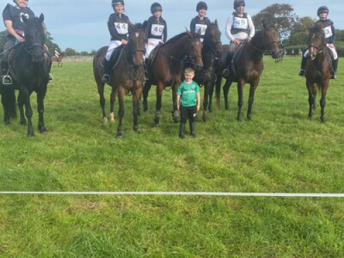family Home  loves horses Boskill  - Gallery - 2