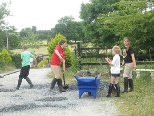 family Home  loves horses Boskill  - Gallery - 57