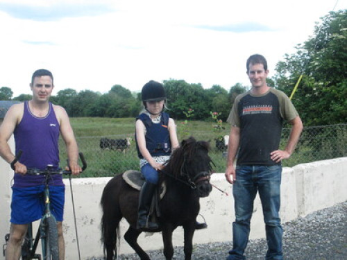 family Home  loves horses Boskill  - Gallery - 50