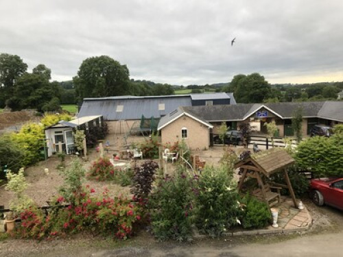 family Home  loves horses Boskill 