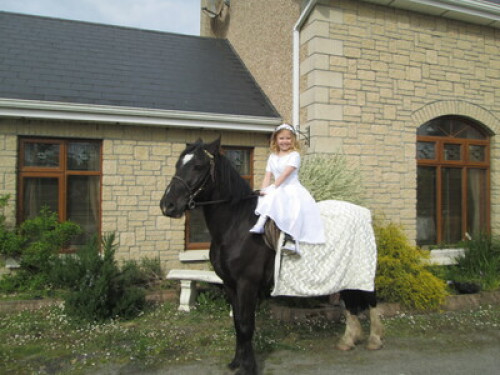 family Home  loves horses Boskill  - Gallery - 41