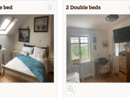 family Home  loves horses Boskill  - Gallery - 22