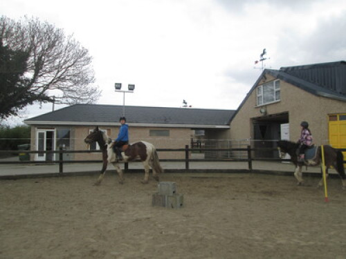 family Home  loves horses Boskill  - Gallery - 40