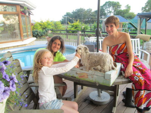 family Home  loves horses Boskill  - Gallery - 42