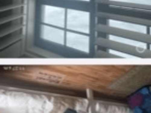 family Home  loves horses Boskill  - Gallery - 26