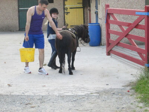 family Home  loves horses Boskill  - Gallery - 35