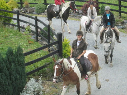 family Home  loves horses Boskill  - Gallery - 56